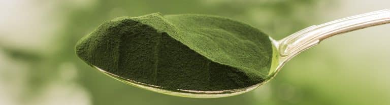 1518424822chlorella_Cover