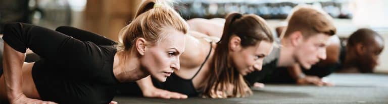 9-salus-1400_378_Cover