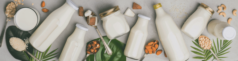 Leches-Vegetales-_212728187_Cover