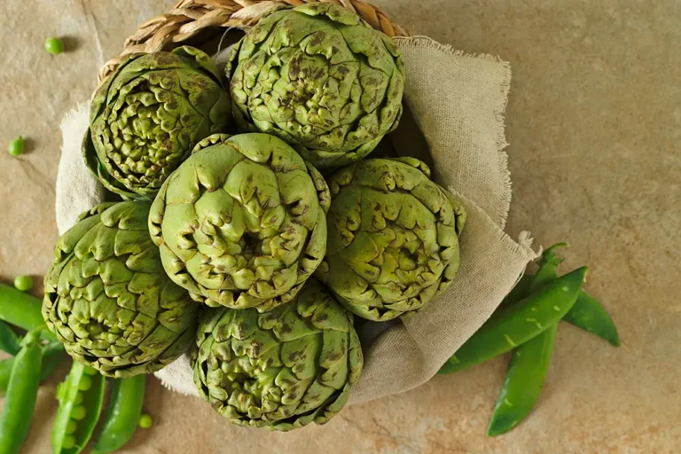 zumo alcachofa digestion