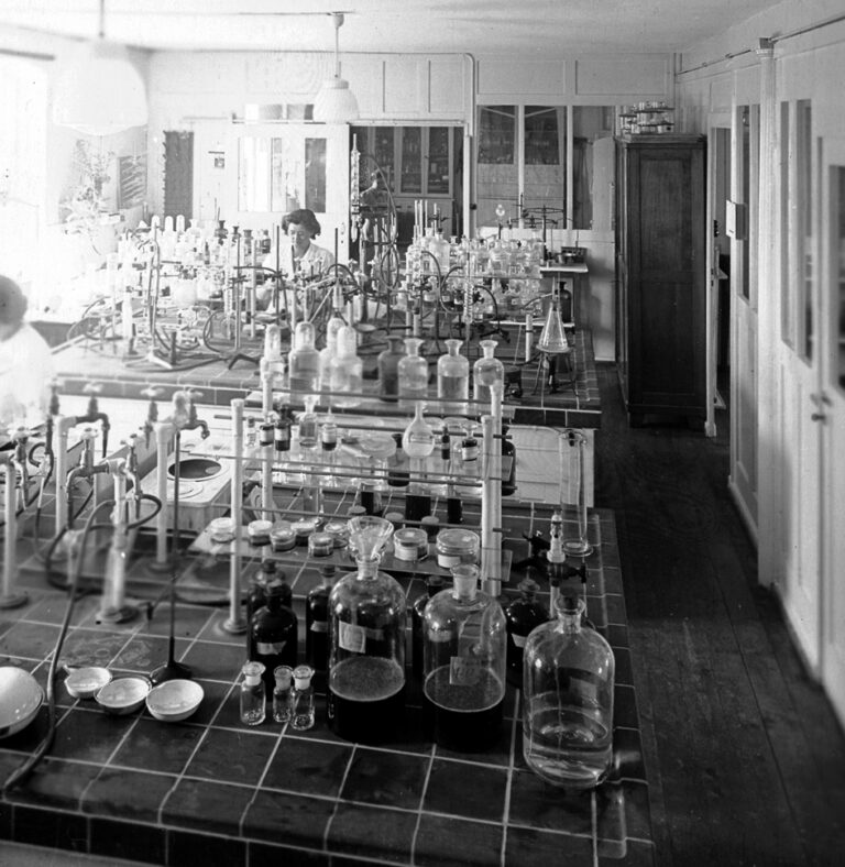 7 - Laboratorio
